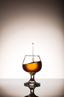 从土地到餐桌 农业循环中的食物、营养与酒精饮料