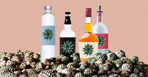 无酒精饮品如何实现“酒香四溢”？看国外酒企创新酒精饮料的三大路径